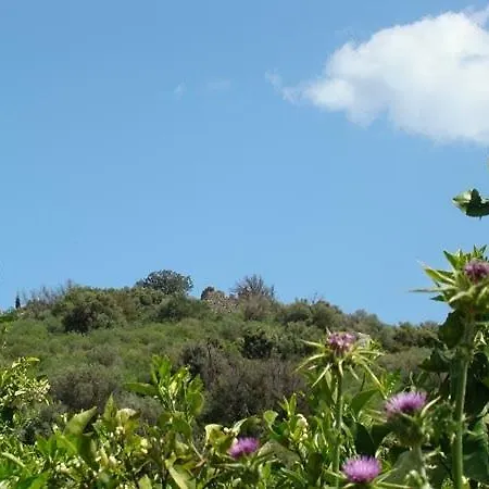 το είδωλον Epidaurus