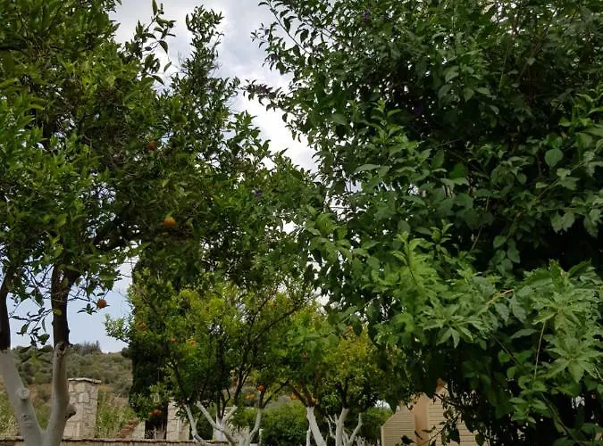 το είδωλον Apartment