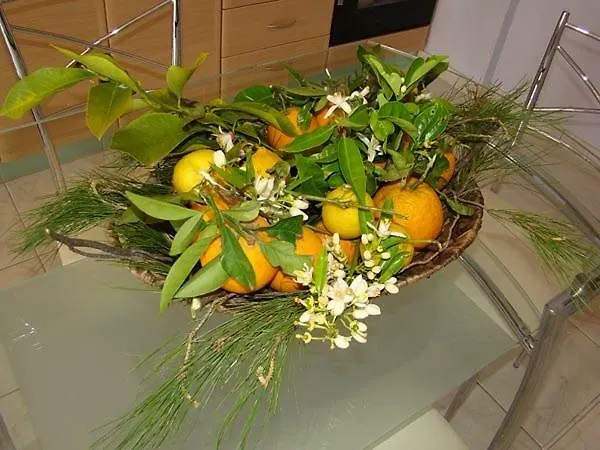 Διαμέρισμα το είδωλον *